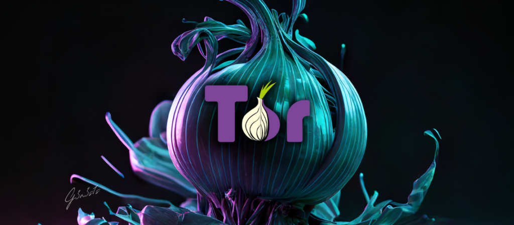 Mit dem Tor Browser ins Darknet